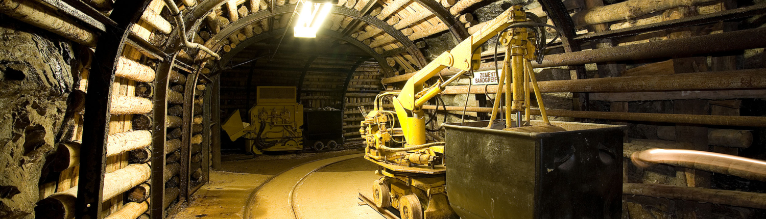 Zinnkammern_Sandgreifer Sandgreifer