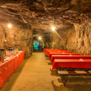 Mettenschicht in den Zinnkammern